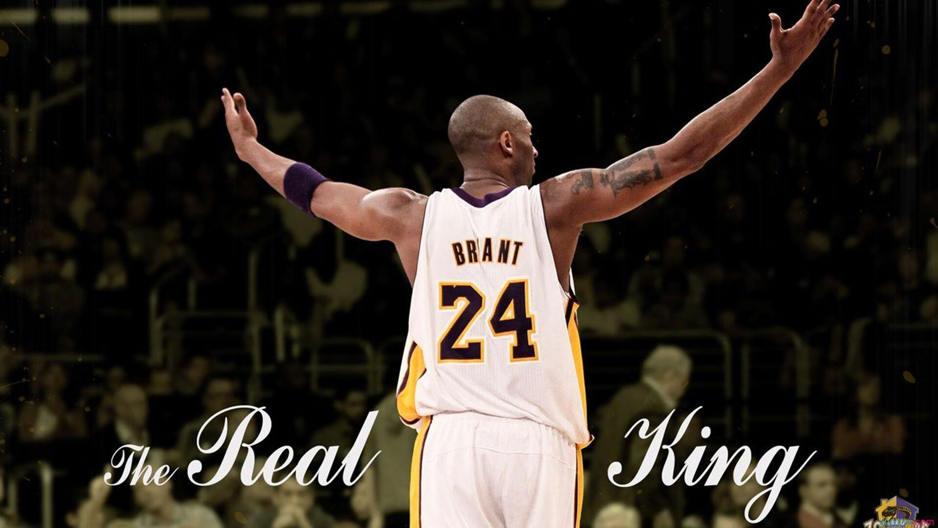 中国男篮用信念撑起民族希望,中国男篮队员齐发声